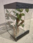 Терариум 60/40/35, снимка 4