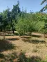 Продавам ПАРЦЕЛ в с.Типченица област Враца , снимка 6