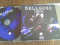 Диск Pameca "Bullseye" BG hip-hop/rap