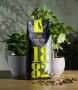 🌿 ЗЕЛЕНИЯТ ЛУКС НА ИТАЛИЯ — CAFFÈ SACCARIA ORGANIC BIO 1882, снимка 5
