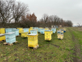 Продавам пчелни семейства с многокорпусен кошери, снимка 3