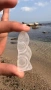 sea glass , снимка 1
