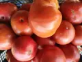 Продавам домашни градински домати , снимка 1