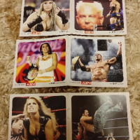 Мини уникални плакати на Първична сила WWE - Разбиване - Кеч
, снимка 2 - Нумизматика и бонистика - 44701040