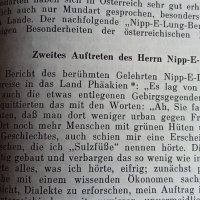 Австрия - земя и хора, Österreich - Land und Volk, снимка 8 - Чуждоезиково обучение, речници - 35888748