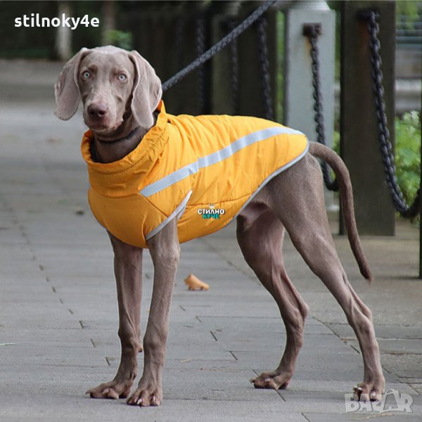  Кучешко яке за средни и едри породи кучета Дрехи за средни и едри породи Кучешки дрехи , снимка 1