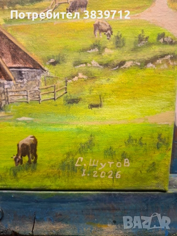 Чисто нова , снимка 2 - Картини - 53220102