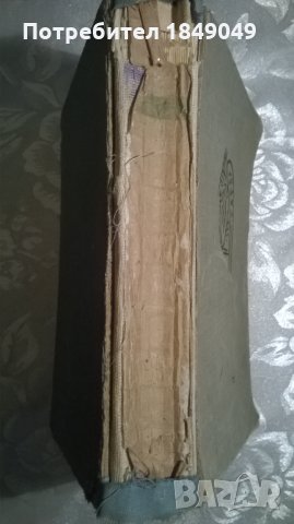 Парижката Света Богородица, снимка 3 - Художествена литература - 35933130