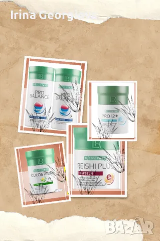 Гъба Рейши, Про12, Про Баланс, Коластра, снимка 1