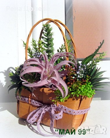 Кошнички със сукуленти, снимка 4 - Изкуствени цветя - 42467959