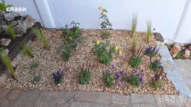 Дървесен чипс / Мулч / Черница , снимка 14 - Оранжерии - 53778872