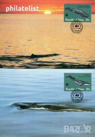 Палау 1983 - 4 броя Карти Максимум - WWF, снимка 1 - Филателия - 38841974