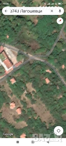 Продава гора Видинско, снимка 2 - Земеделска земя - 53616057