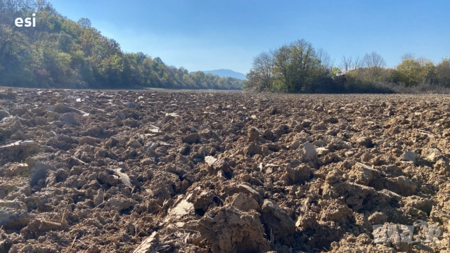 Евтина земя до Провадия - Дългопол, обл. Варна, снимка 5 - Земеделска земя - 53720204