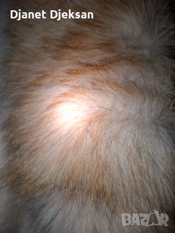 Продавам Палто Ново, снимка 5 - Палта, манта - 52680048