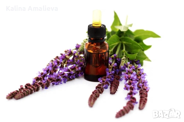 Етерични и глицеридни масла - ИЗГОДНО!