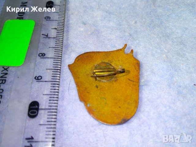 СССР МЛАДЕЖКА БРИГАДА КОЛЕКЦИОНЕРСКА СОЦ НРБ ЕМАЙЛИРАНА МЕДНА ЗНАЧКА 35394, снимка 2 - Колекции - 39810139