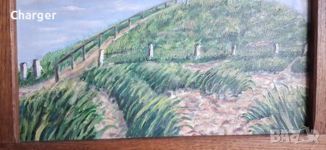 Стара картина, подписана!, снимка 3 - Картини - 53224987