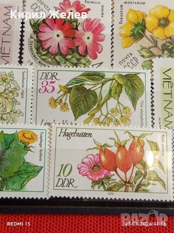Стари пощенски марки от цял свят смесени ЦВЕТЯ,ГЪБИ за КОЛЕКЦИОНЕРИ 52012, снимка 8 - Филателия - 53198174