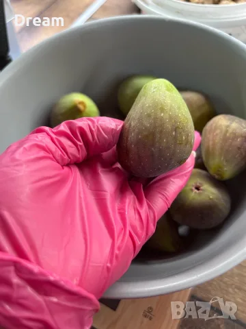 Смокини едри Варна, снимка 2 - Домашни продукти - 55976085