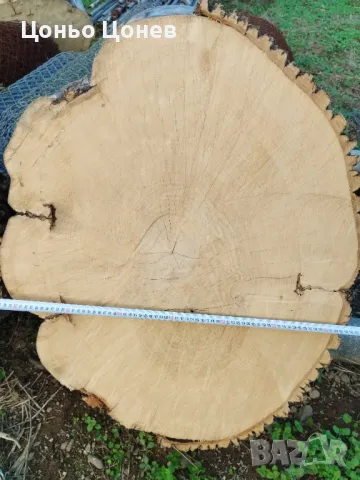 ЯСЕН ЗА ПЛОТОВЕ НА МАСИ НА ДИСКОВЕ, СУХ , снимка 8 - Маси - 47558728