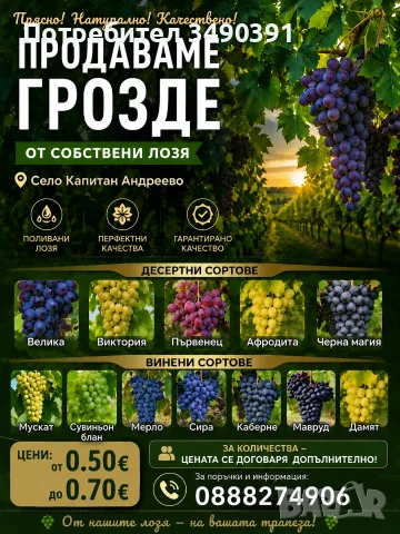 Продавам винско и десертно грозде