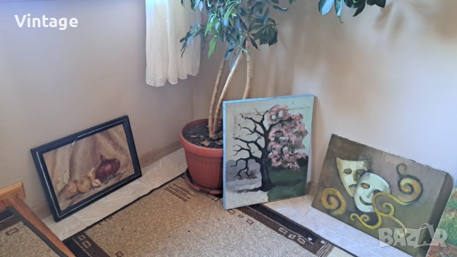 Лот картини , снимка 2 - Картини - 52370651