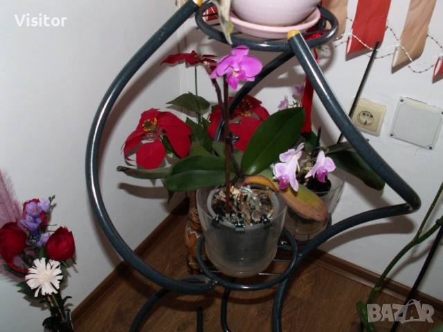 Konica Minolta DiMAGE Z3, снимка 15 - Фотоапарати - 53579760