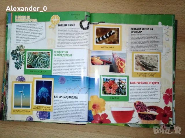 Billa Стикер албуми, снимка 3 - Колекции - 50186340