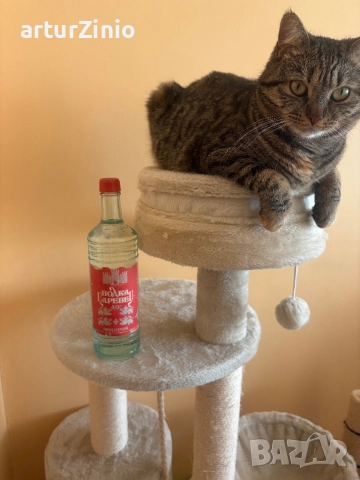 Шише Водка Царевец, снимка 5 - Прибори, съдове, шишета и биберони - 52953687