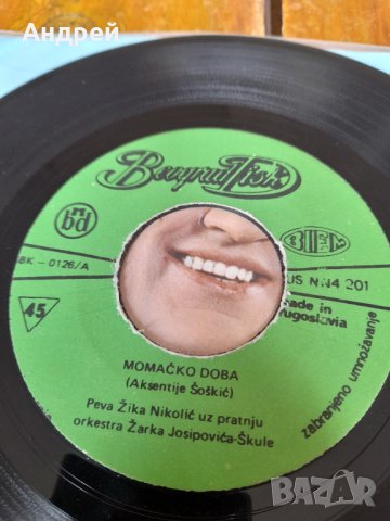 Грамофонна плоча Zika Nikolic, снимка 4 - Други ценни предмети - 34847169