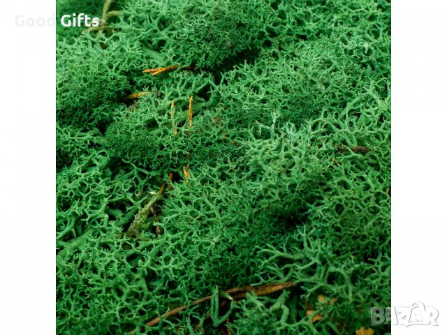 Скандинавски Мъх 500гр, Pine, снимка 2 - Други стоки за дома - 39872181