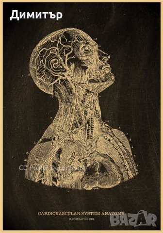 Постер плакат гранатомет 50,5/35см., снимка 11 - Декорация за дома - 41079411