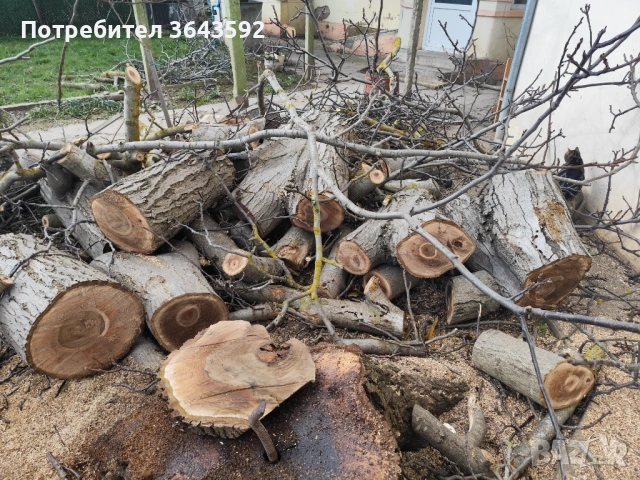 Продавам орехов материал, снимка 3 - Дърводелски услуги - 53634254