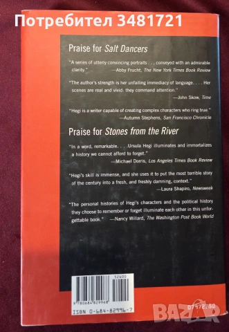 Разкъсване на тишината - какво е да си немец в Америка / Tearing the Silence, снимка 4 - Художествена литература - 53747922