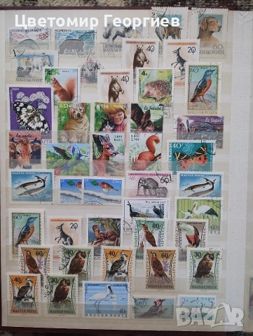 Класьор с марки /животни/ 650 бр ., снимка 5 - Филателия - 53078099