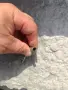 Два ключа за часовници , снимка 4