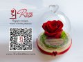 Вечна ЕСТЕСТВЕНА роза в Стъкленица / Интересен Подарък за Приятелка / Подарък за Годишнина, снимка 4