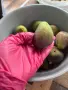 Смокини едри Варна, снимка 2