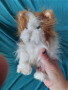 Интерактивна реалистична котка FurReal Friends Hasbro, снимка 1 - Музикални играчки - 44927728