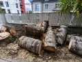 Продавам изгодно иглолистен дървен материал, снимка 1
