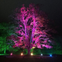 Интелигентен LED прожектор с дистанционно, 100W, различен цвят светлини (multicolor), снимка 2