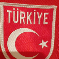 Мъжка тениска Turkiye. , снимка 4 - Тениски - 36236468