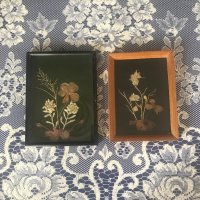Картинки със сухи цветя, рамки за снимки, снимка 2 - Колекции - 41308926