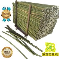 Качествени семена от бамбук Moso Bambo бързо растящи растения за дома бамбуков разсад за украса и де, снимка 9 - Сортови семена и луковици - 41401749