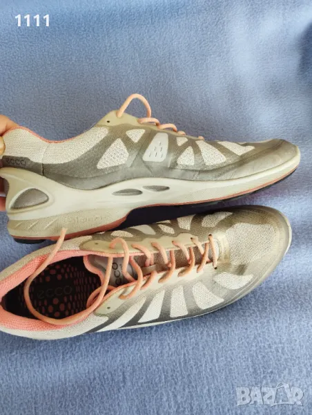 Ecco biom номер 41., снимка 1