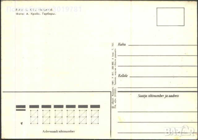 Пощенски картички Цветя, Гербери 1981 Антарктическа станция Восток 1987 от СССР, снимка 2 - Филателия - 36226651