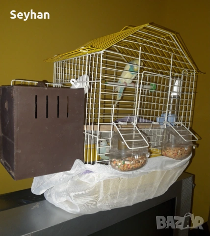 Папагали с кледка, снимка 2 - Папагали - 53615504