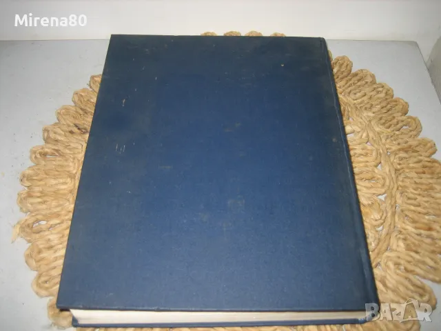 Русско-английский словарь - 1987 г., снимка 7 - Чуждоезиково обучение, речници - 50230021