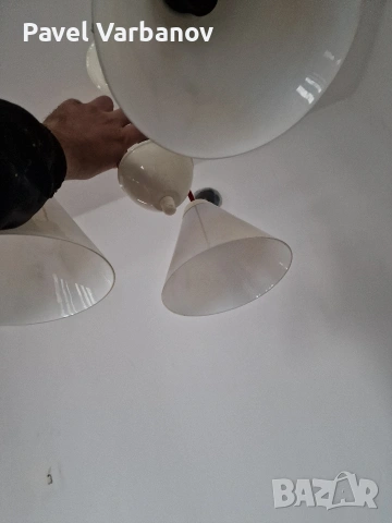 Продавам Полилеи, снимка 3 - Полилеи - 53025706